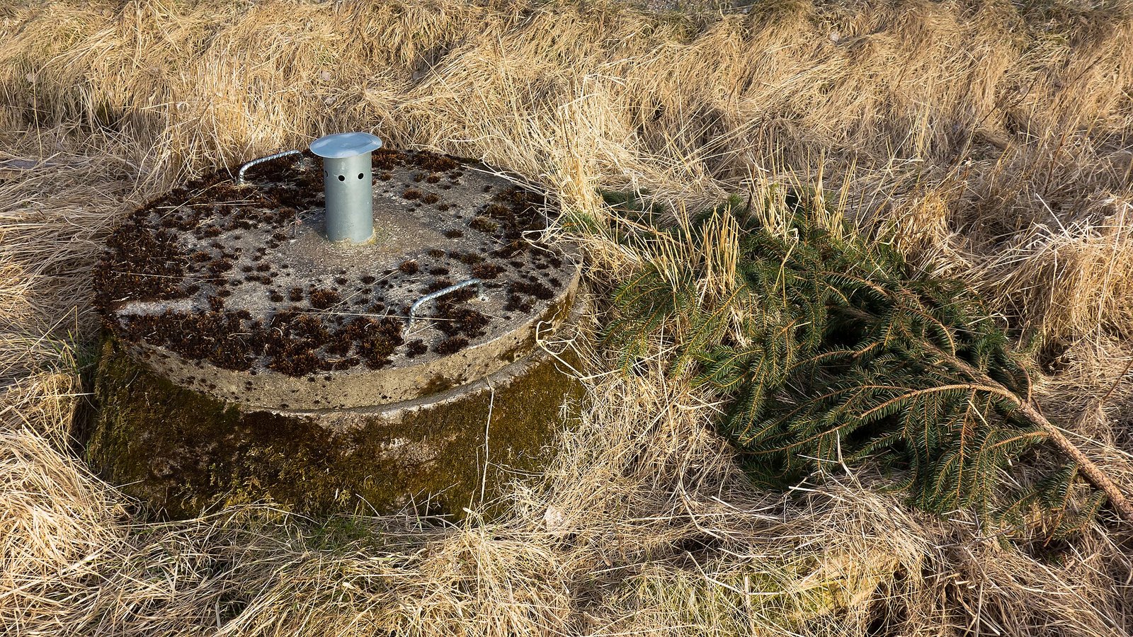 Old concrete septic tank lid in dry grass with a metal vent pipe